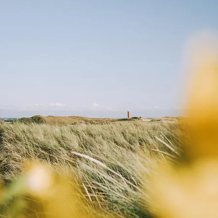 Diva In De Duinen - Park Duinland Sint Maartenszee *
